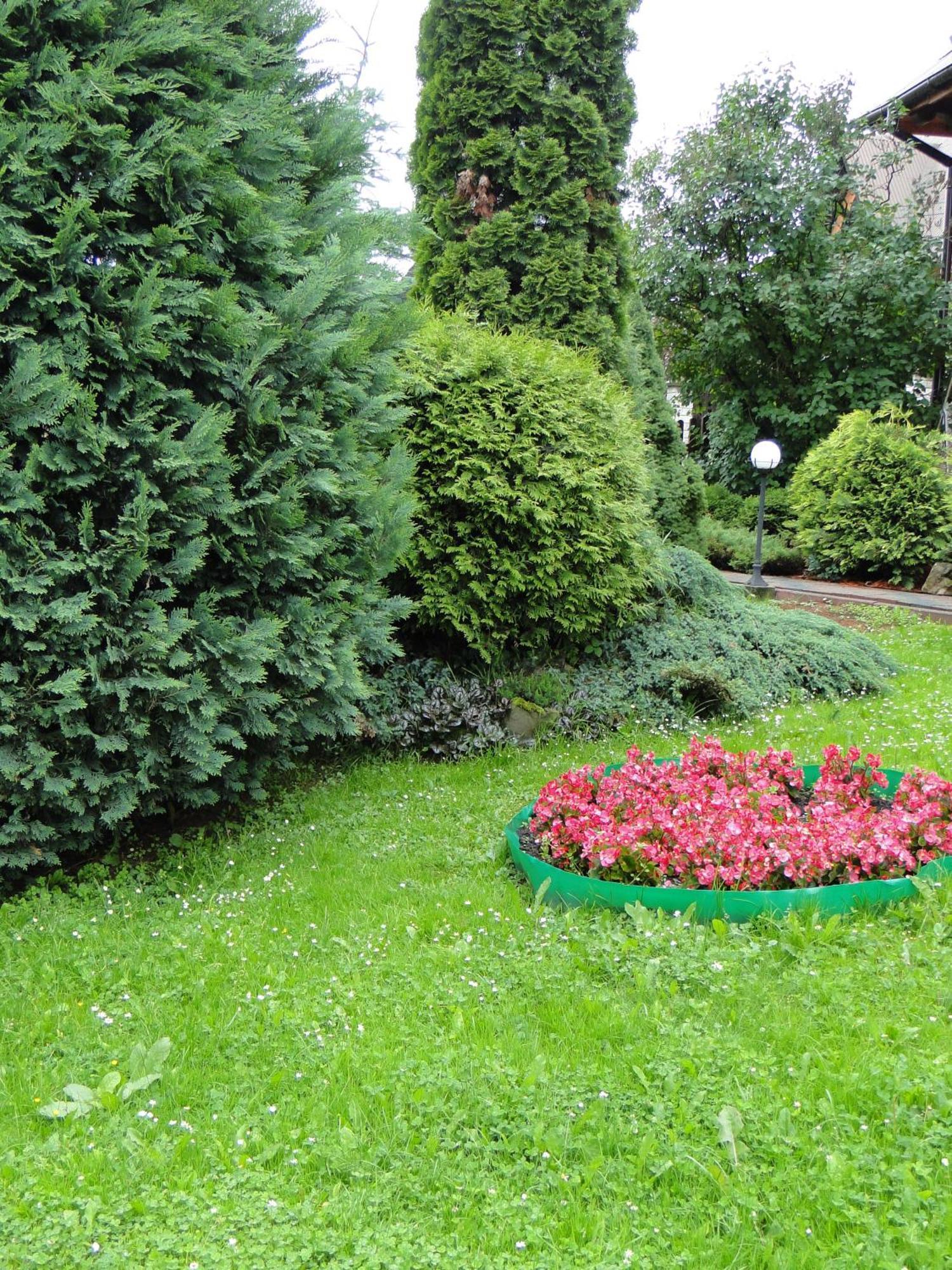Pokoje Goscinne Helena Bukowina Tatrzańska Buitenkant foto